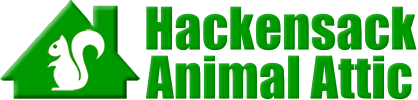 Hackensack Animal Attic